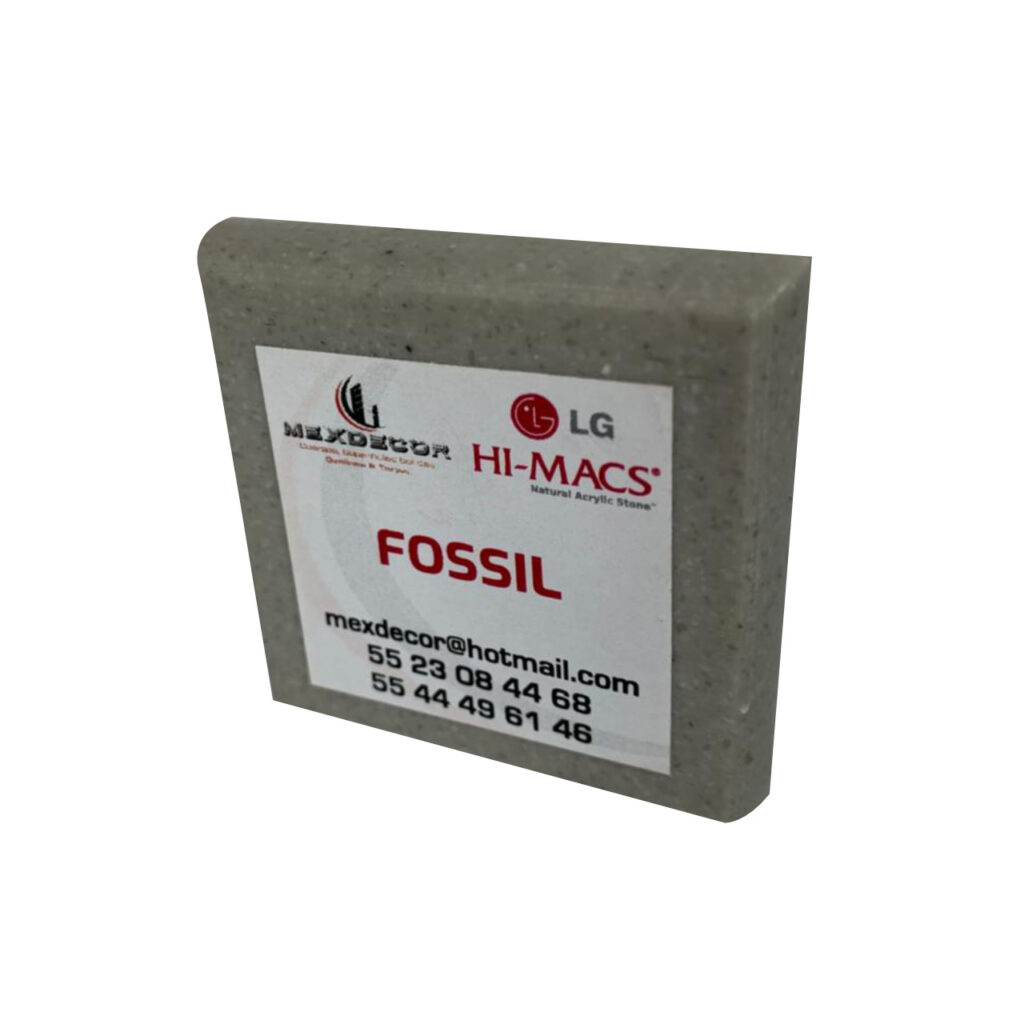 Fossil